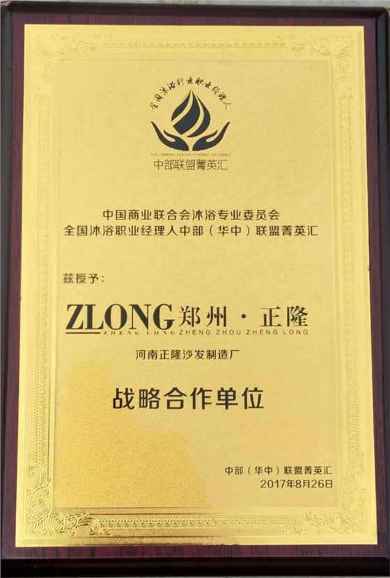 中部（華中）聯(lián)盟菁英匯戰(zhàn)略合作單位.jpg
